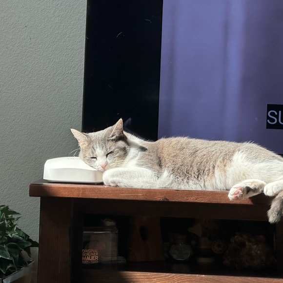 Meet your Posher, Lisa - Picture 2 of 2